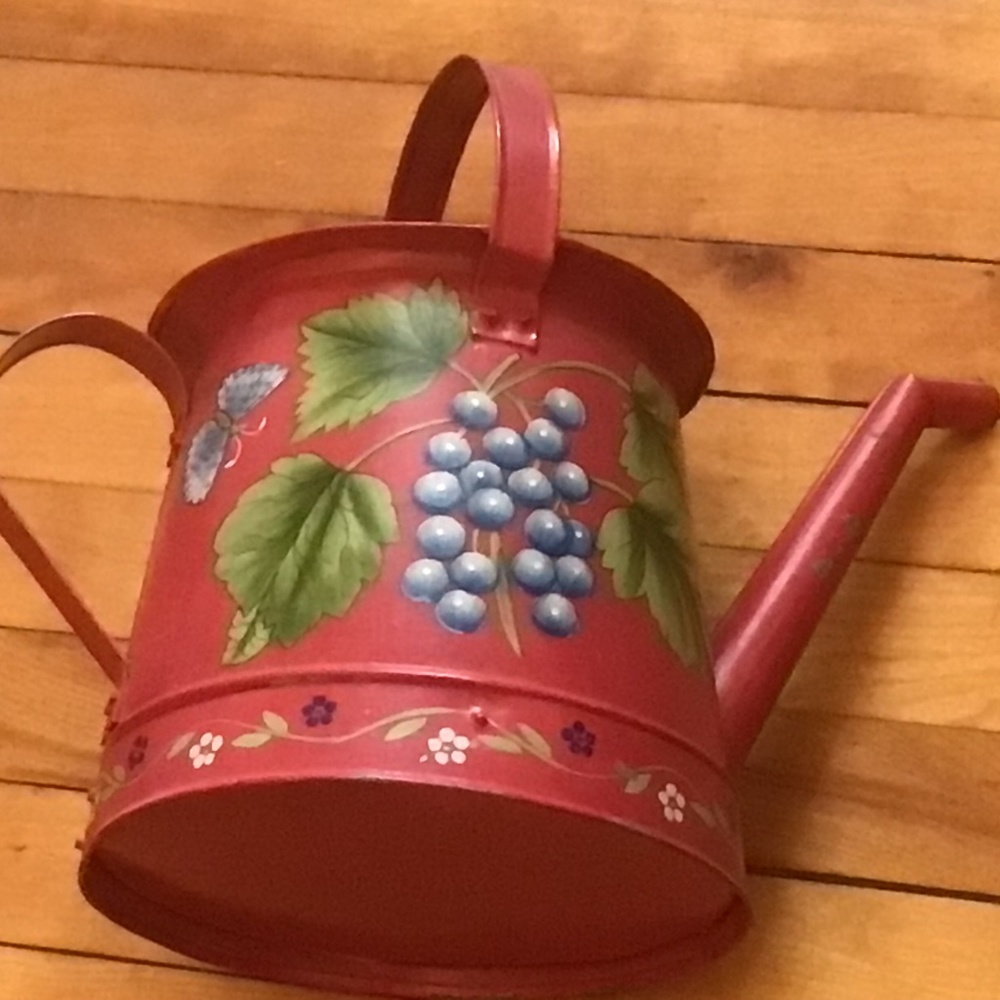 Decorative Tin Watering Can